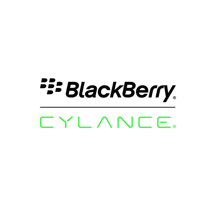 Blackberry endpoint security